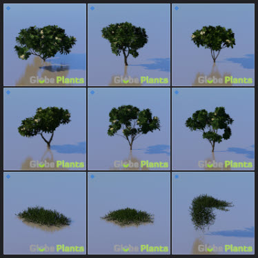 L2023.3 Update Library Models _Nature _LargeTh-3x3 _11.jpg