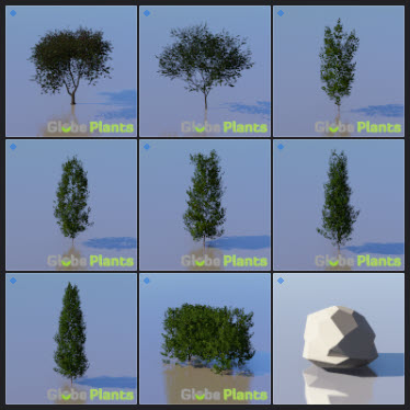 L2023.3 Update Library Models _Nature _LargeTh-3x3 _05.jpg