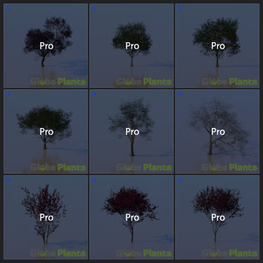 L2023.3 Standard Update Library Models _Nature _LargeTh-3x3 _04.jpg