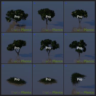 L2023.3 Standard Update Library Models _Nature _LargeTh-3x3 _11.jpg