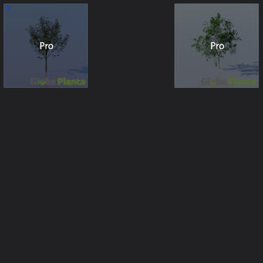 L2023.3 Standard Update Library Models _Nature _LargeTh-3x3 _13.jpg