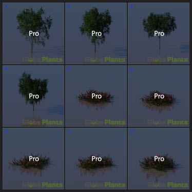 L2023.3 Standard Update Library Models _Nature _LargeTh-3x3 _01.jpg