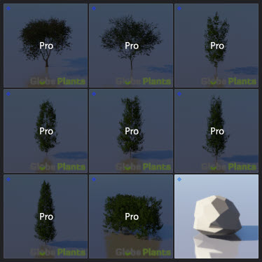 L2023.3 Standard Update Library Models _Nature _LargeTh-3x3 _05.jpg