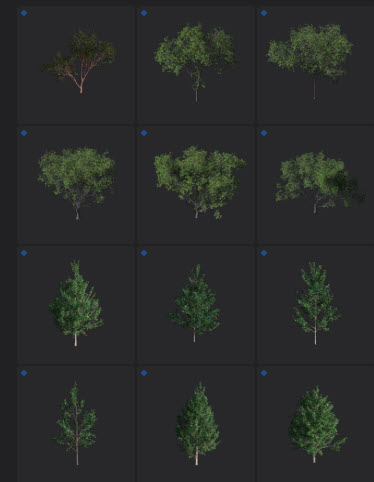 L2024.0 Update Library Models LargeTh3x4 Nature_05.jpg