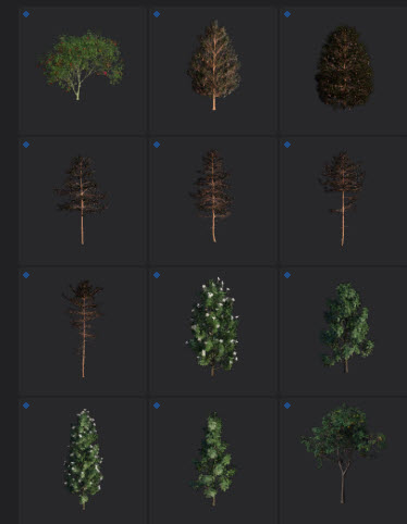 L2024.0 Update Library Models LargeTh3x4 Nature_07.jpg