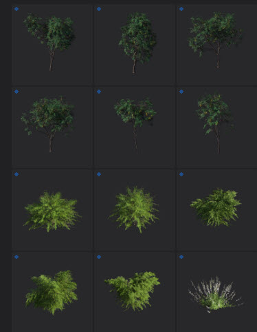 L2024.0 Update Library Models LargeTh3x4 Nature_08.jpg