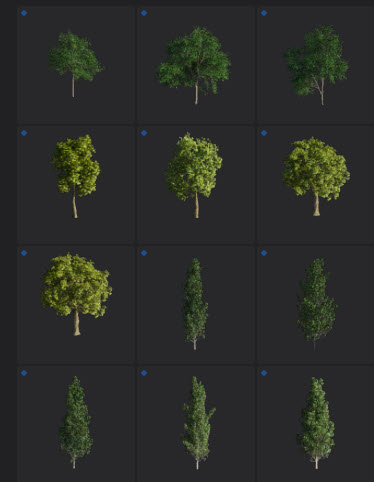L2024.0 Update Library Models LargeTh3x4 Nature_02.jpg