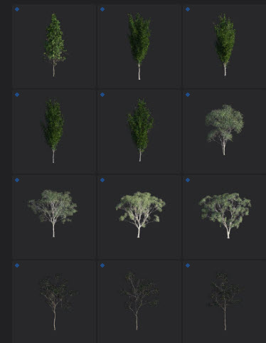 L2024.0 Update Library Models LargeTh3x4 Nature_03.jpg