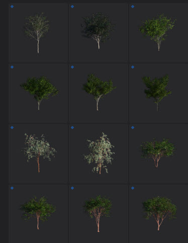 L2024.0 Update Library Models LargeTh3x4 Nature_04.jpg