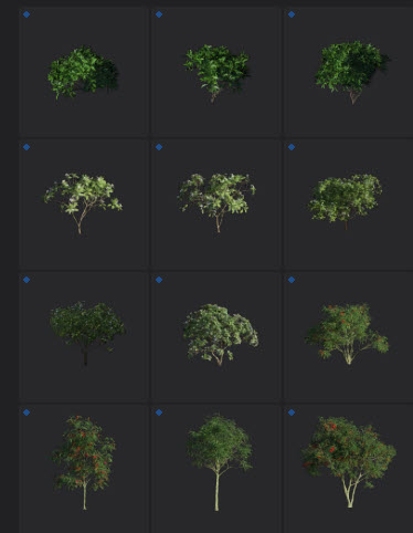 L2024.0 Update Library Models LargeTh3x4 Nature_06.jpg