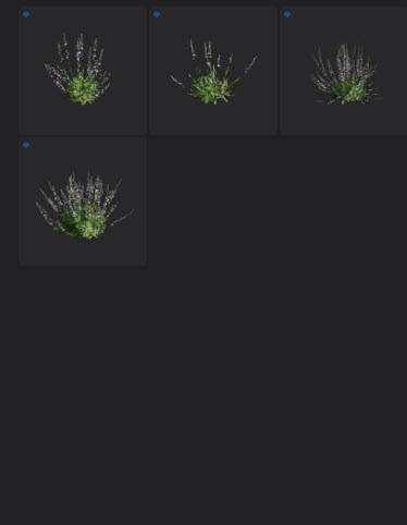 L2024.0 Update Library Models LargeTh3x4 Nature_09.jpg