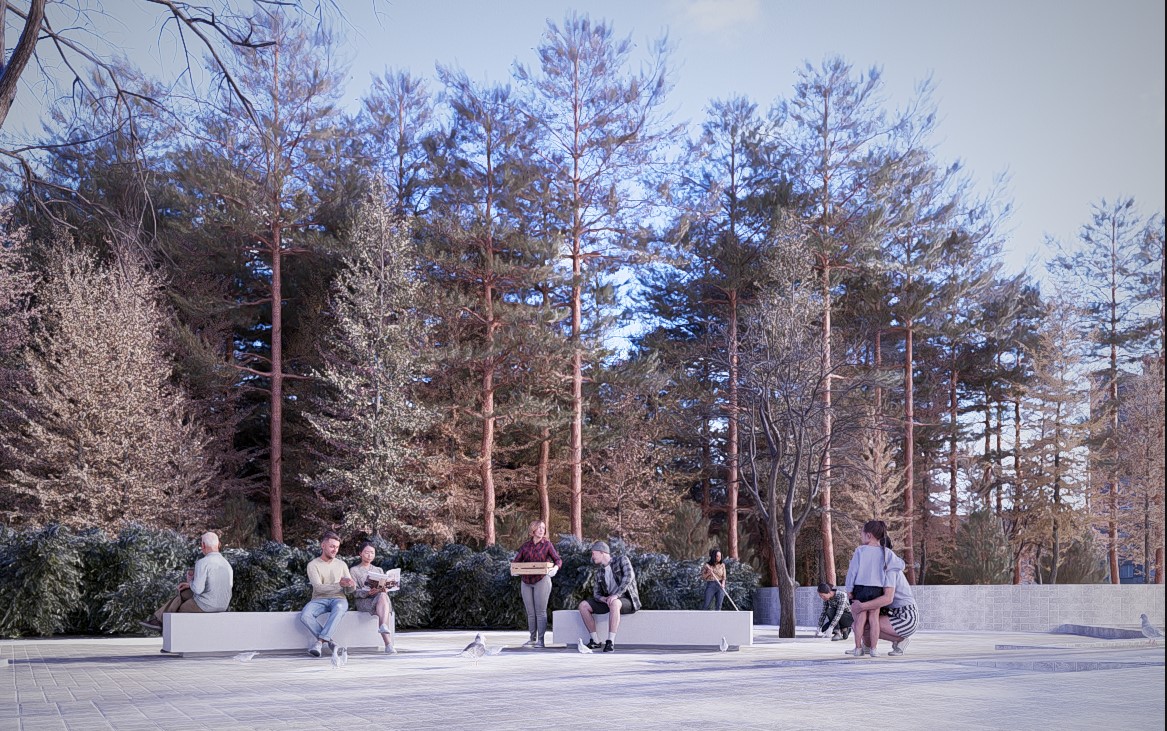 New Library Content.jpg