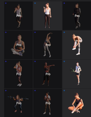 L2024.1 Std Update Library Models LargeTh3x4 PeopleAndAnimals_03.jpg