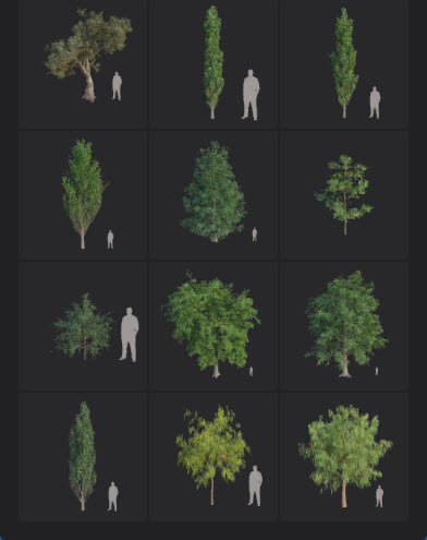 L2025.0 Update Library Models LargeTh3x4 Nature_03.jpg