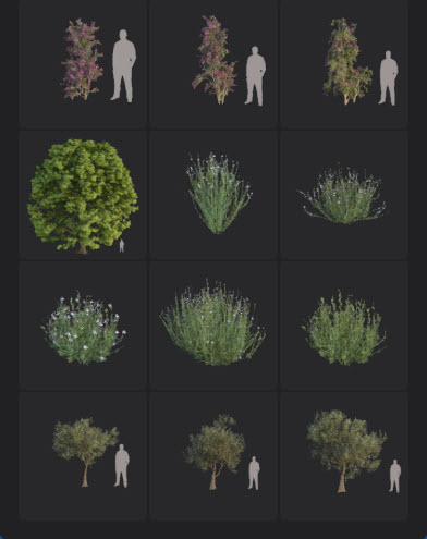 L2025.0 Update Library Models LargeTh3x4 Nature_02.jpg