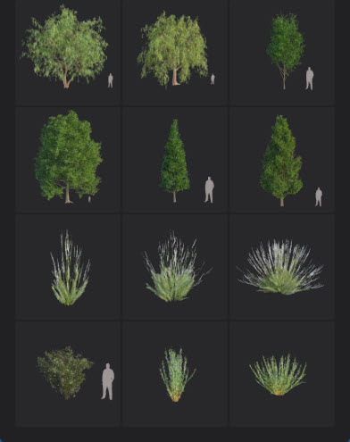 L2025.0 Update Library Models LargeTh3x4 Nature_04.jpg