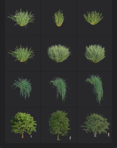 L2025.0 Update Library Models LargeTh3x4 Nature_05.jpg