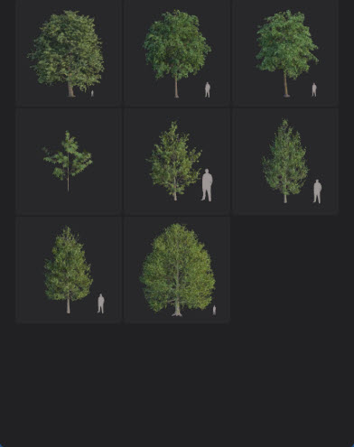 L2025.0 Update Library Models LargeTh3x4 Nature_06.jpg