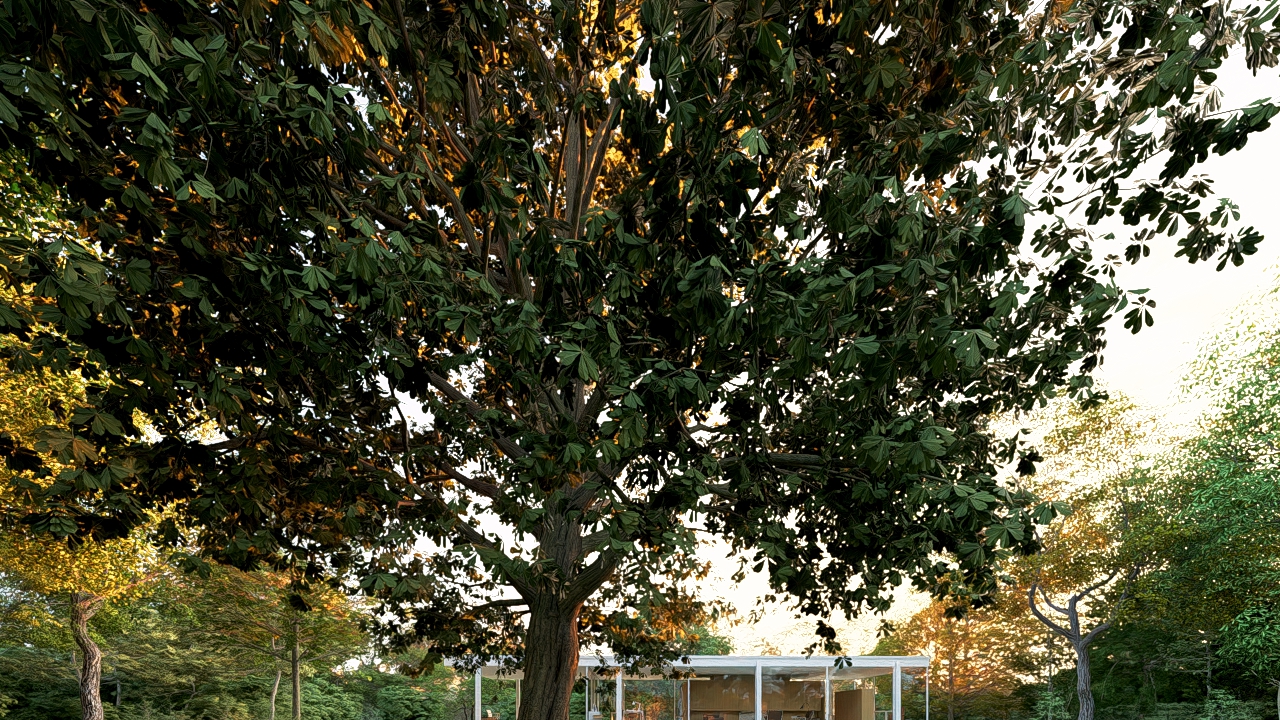 for Scan-Photogametry Treesd.jpg